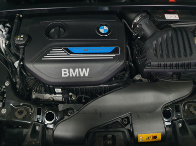 BMW X2 xDrive25e Executive NAVI/CRUISE/CLIMA/LMV