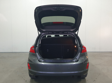 Ford Fiesta 1.0 EcoBoost Titanium CRUISE/PDC/CLIMA/STOELVERW.