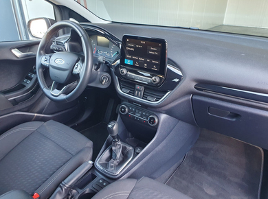 Ford Fiesta 1.0 EcoBoost Titanium CRUISE/PDC/CLIMA/STOELVERW.