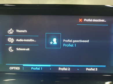 Peugeot 2008 1.2 PureTech Allure NAVI/PDC/TRHAAK/LED/CRUISE/LMV