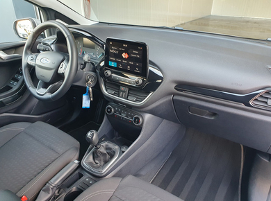 Ford Fiesta 1.0 EcoBoost Titanium PDC/NAVI/CARPLAY/CLIMA/STOELVERW