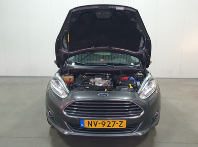 Ford Fiesta 1.0 EcoBoost Titanium CRUISE/CLIMA/TRHAAK/LMV
