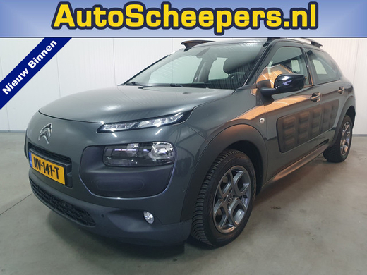 Citroën C4 Cactus 1.6 BlueHDi Business NAVI/PDC/CAMERA