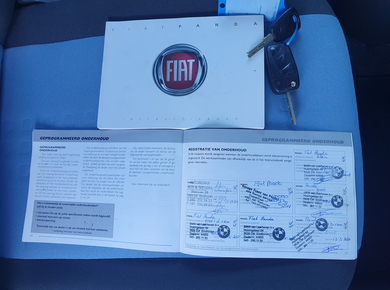 Fiat Panda 1.2 Edizione Cool AIRCO/DAKRAIL/EL.PAKKET