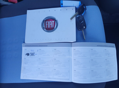 Fiat Panda 1.2 Edizione Cool AIRCO/DAKRAIL/EL.PAKKET