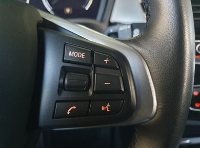 BMW X2 xDrive25e Executive NAVI/CRUISE/CLIMA/LMV