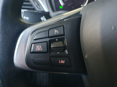 BMW X2 xDrive25e Executive NAVI/CRUISE/CLIMA/LMV